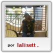 lalisett09
