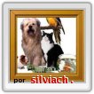 derechos de los animales